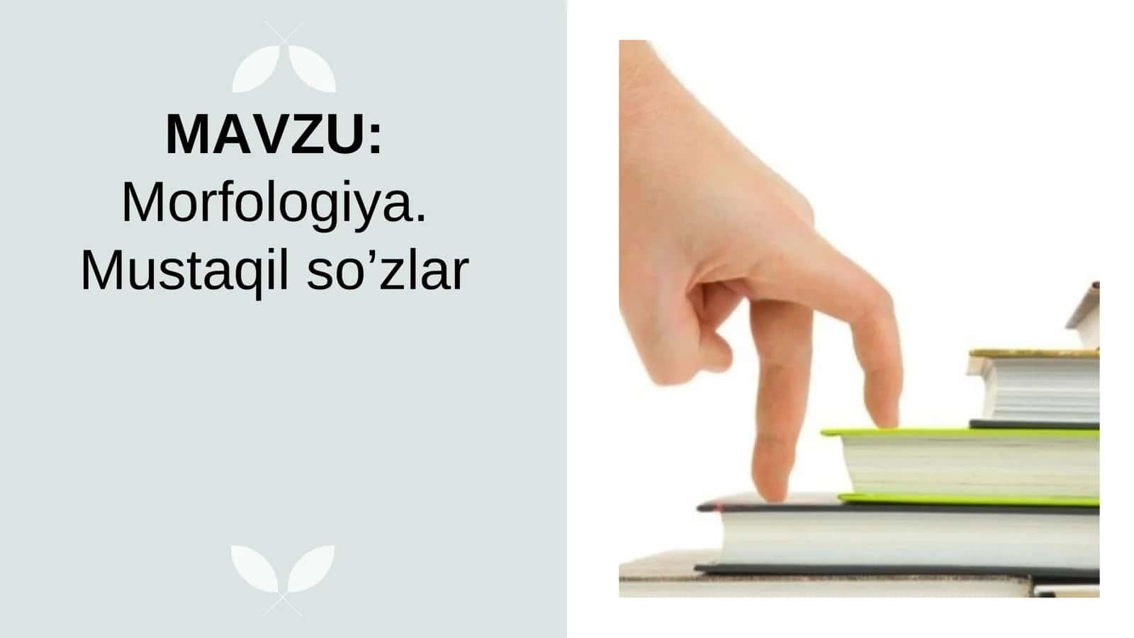 Morfologiya. Mustaqil so’zlar 1