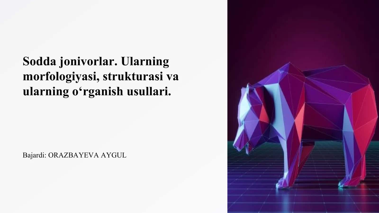 Sodda hayvonlar 1