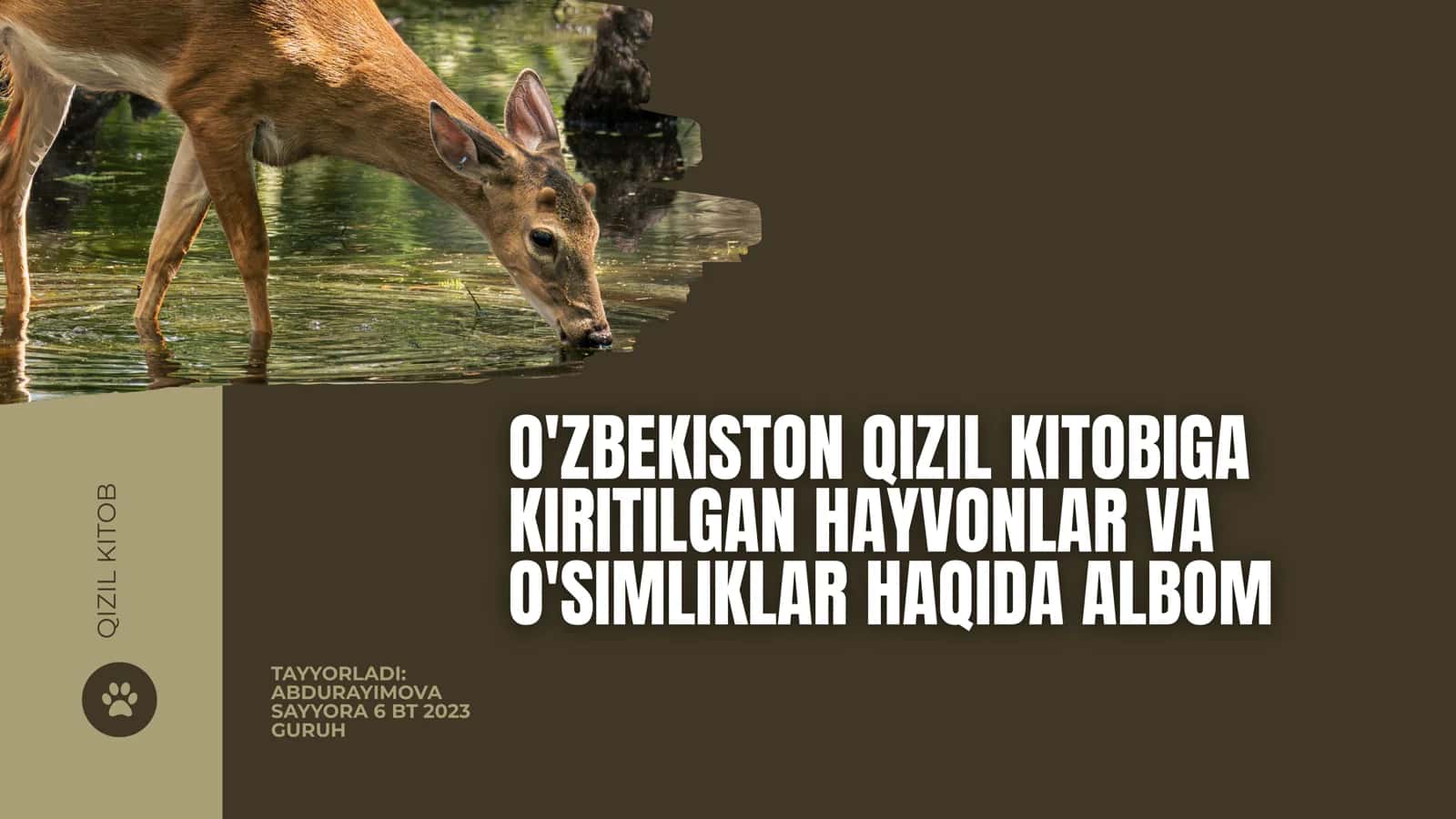 O'ZBEKISTON QIZIL KITOBIGA KIRITILGAN HAYVONLAR VA O'SIMLIKLAR HAQIDA ALBOM 1