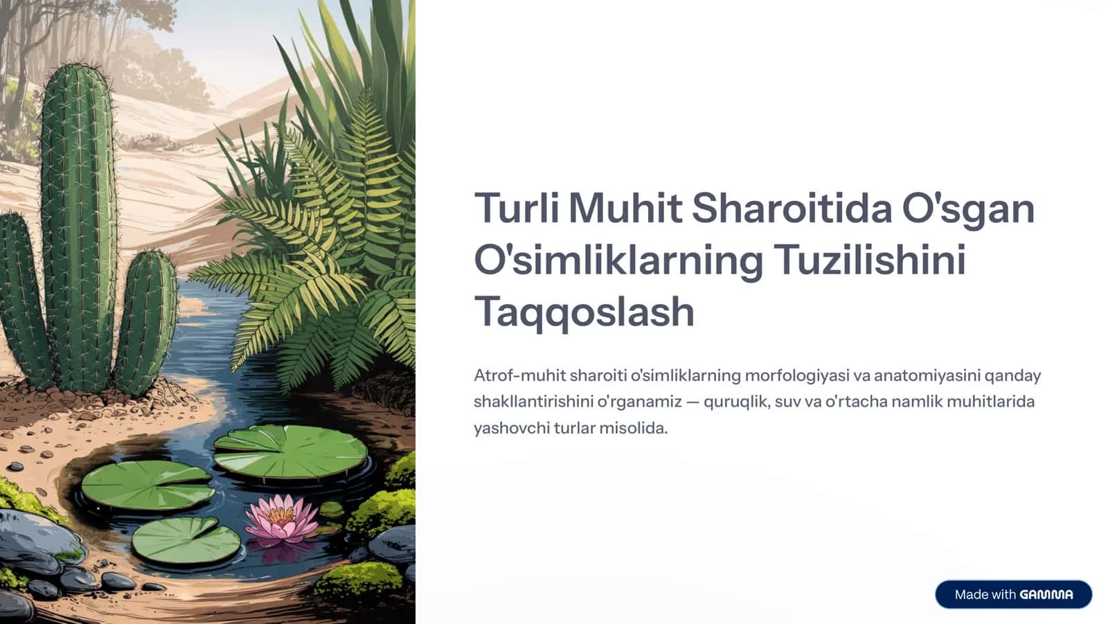 Turli Muhit Sharoitida O'sgan O'simliklarning Tuzilishi 1