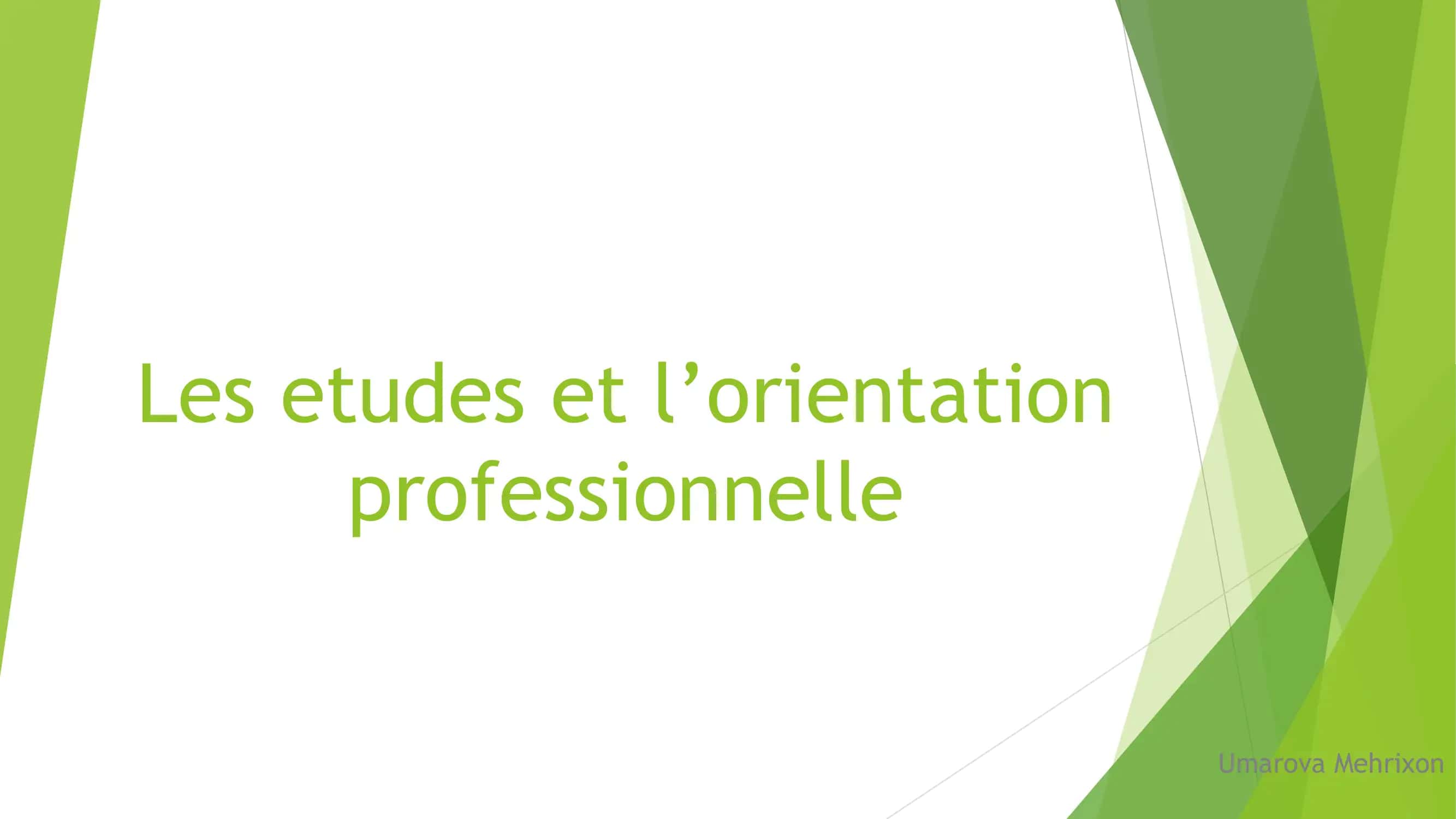 les etudes et les l'orientation professionnelle 1