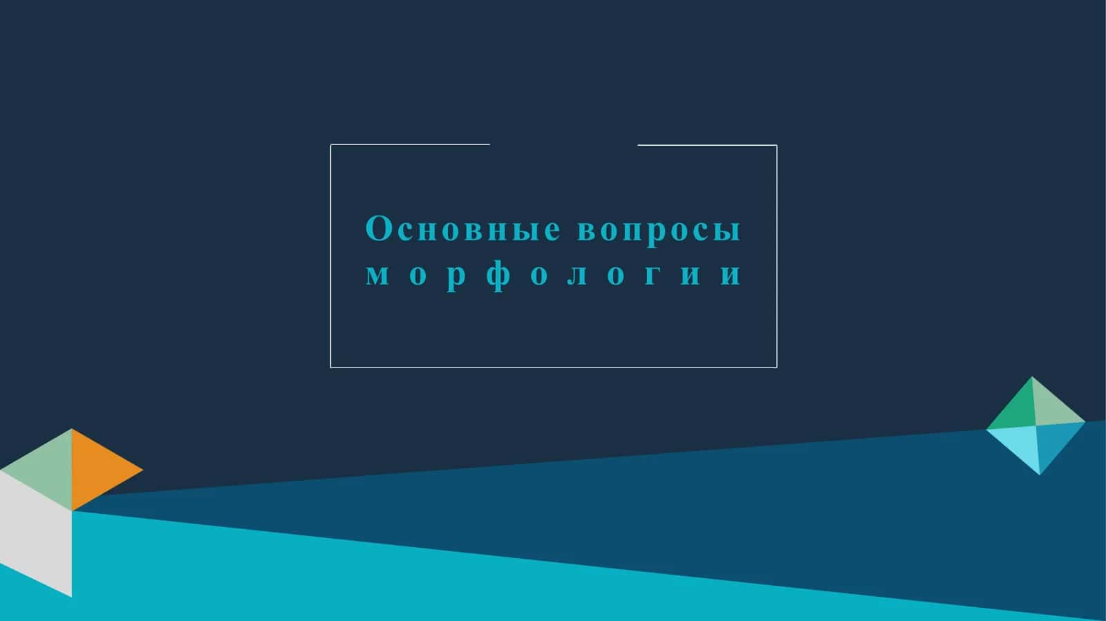 Основные вопросы морфологии 1