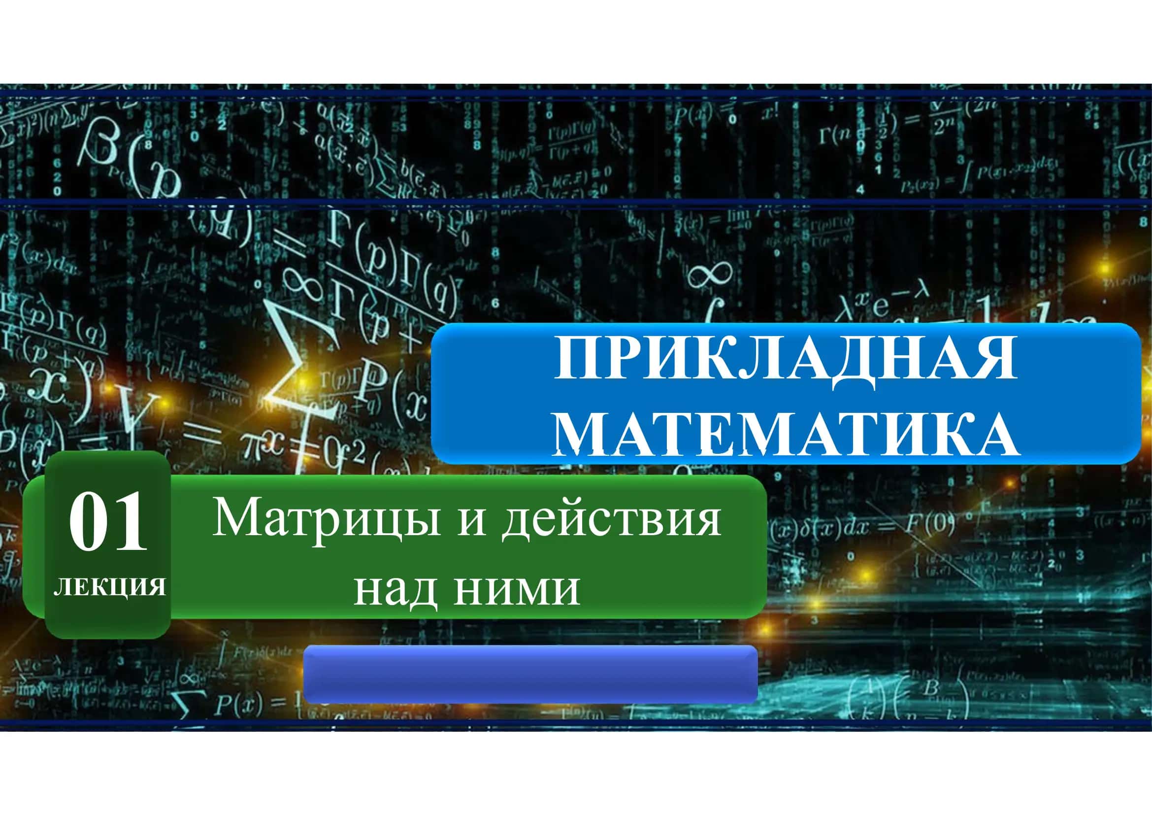 Матрицы и действия над ними 1