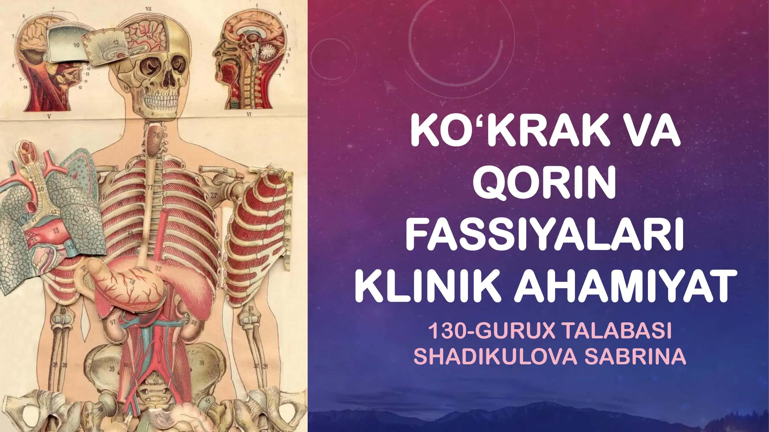 Ko'krak, qorin fassiyalari va klinik ahamiyati 1