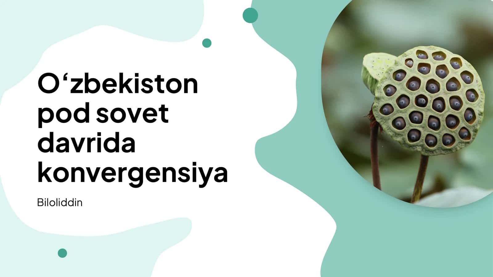 Iqtisodiy konvergensiya va rejalashtirish 1