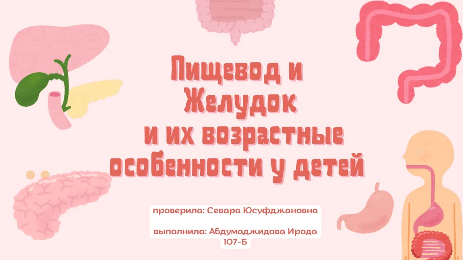 Пищевод и Желудок 1