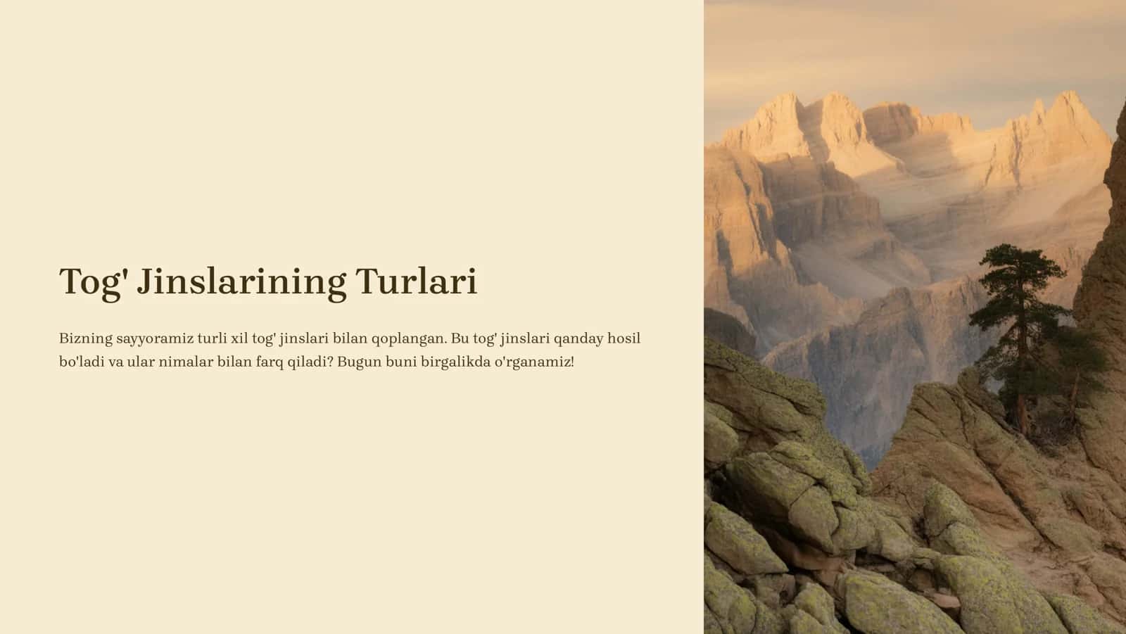 Tog' Jinslarining Turlari 1