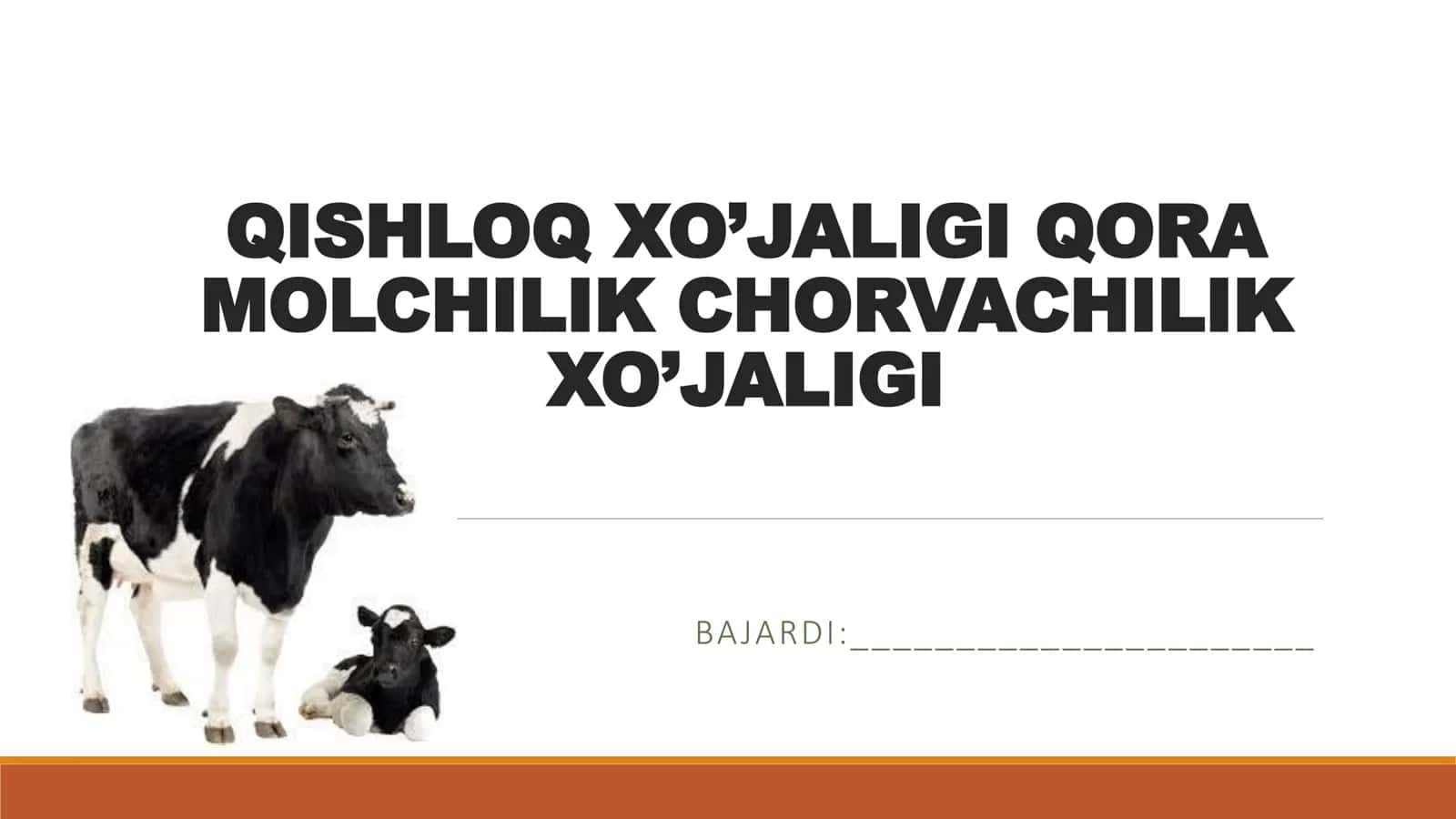 QISHLOQ XO’JALIGI QORA MOLCHILIK CHORVACHILIK XO’JALIGI 1