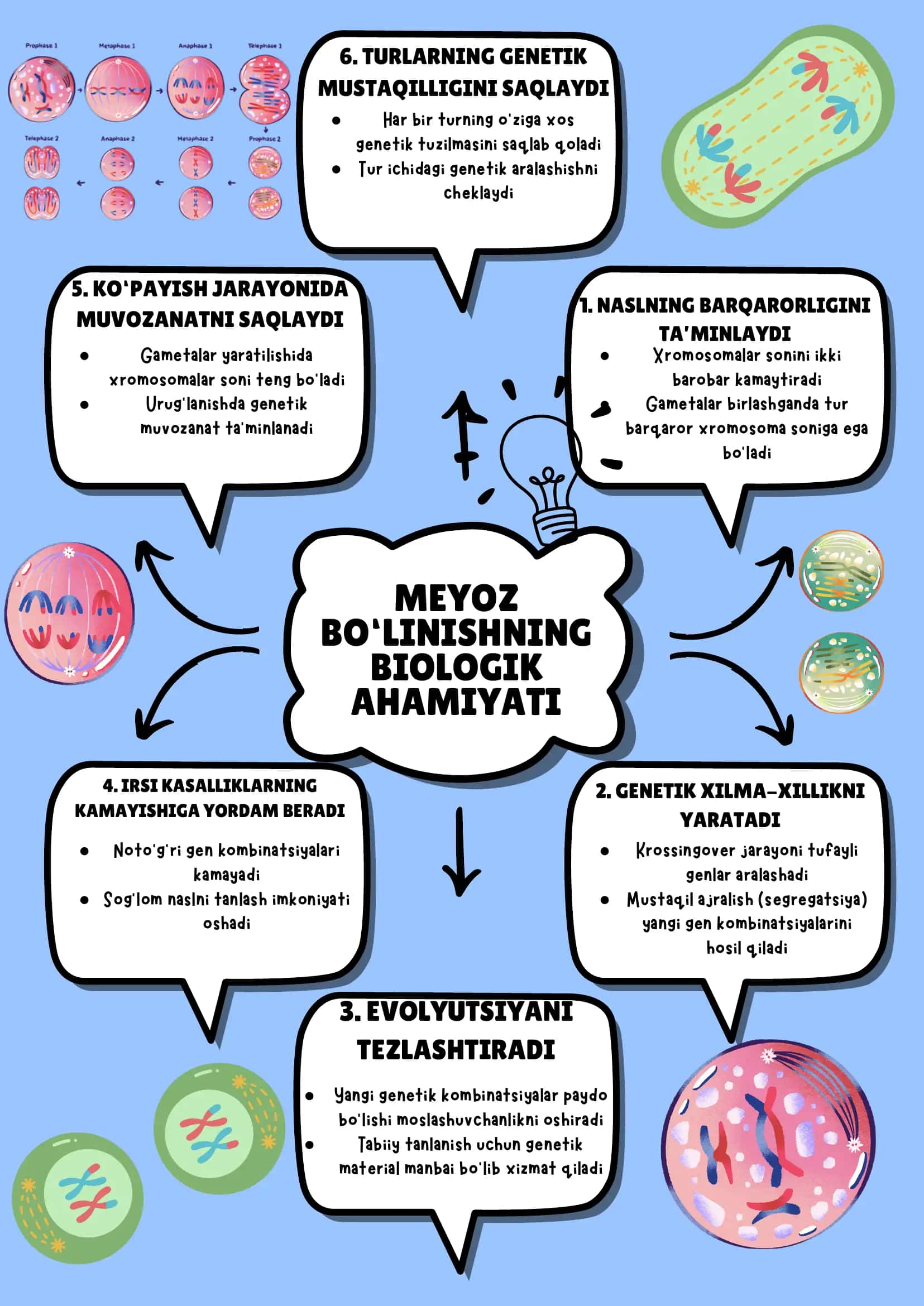 Meyoz bo‘linishning biologik ahamiyati 1