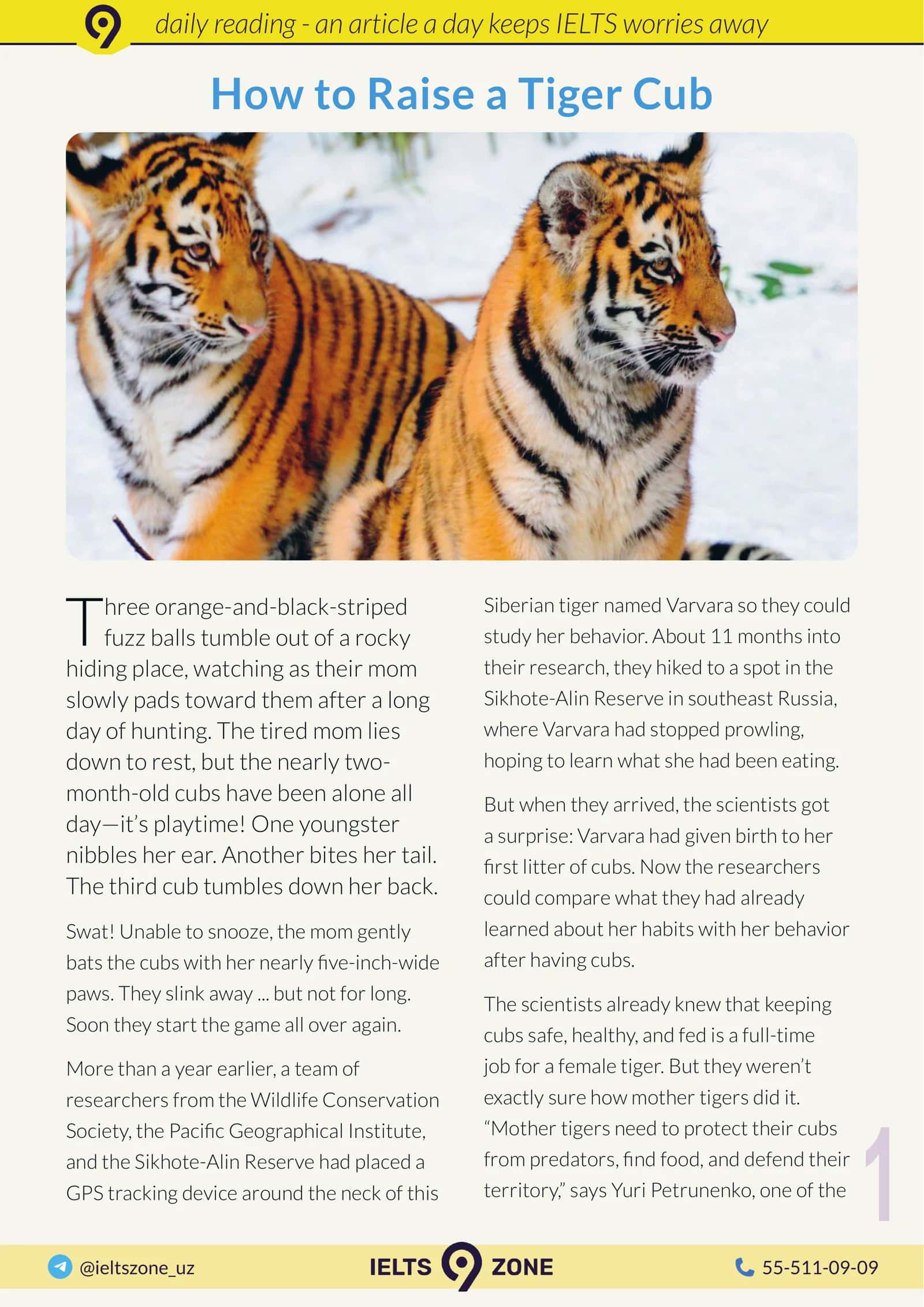 How to Raise a Tiger Cub 1