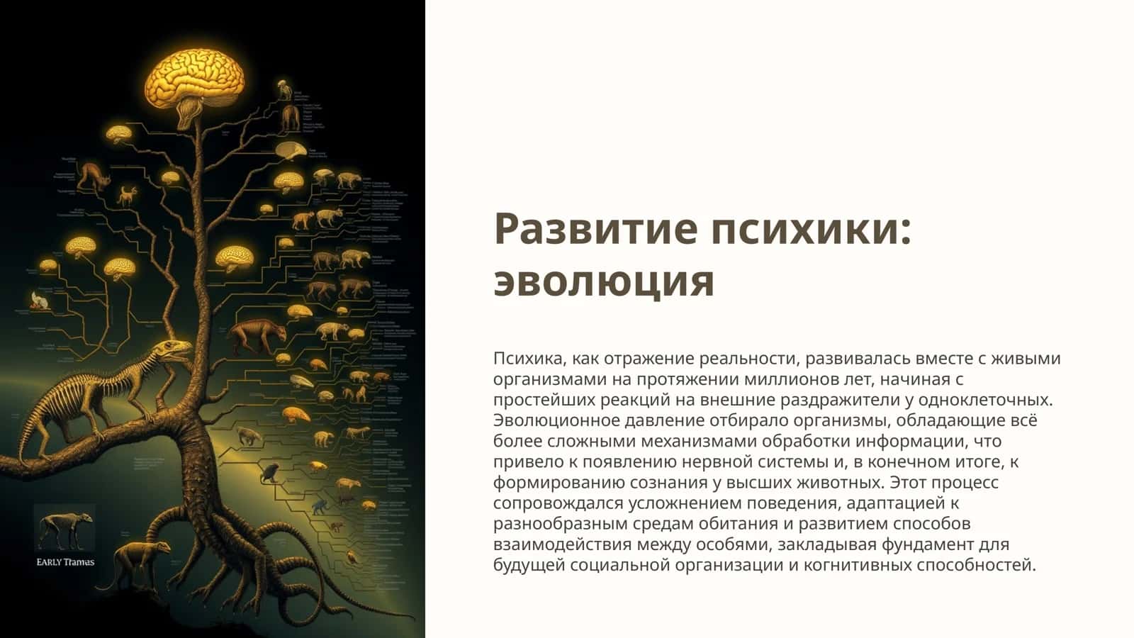 Развитие психики 1