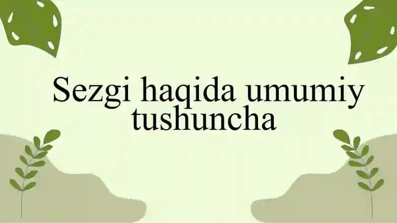 sezgi haqida umumiy tushuncha