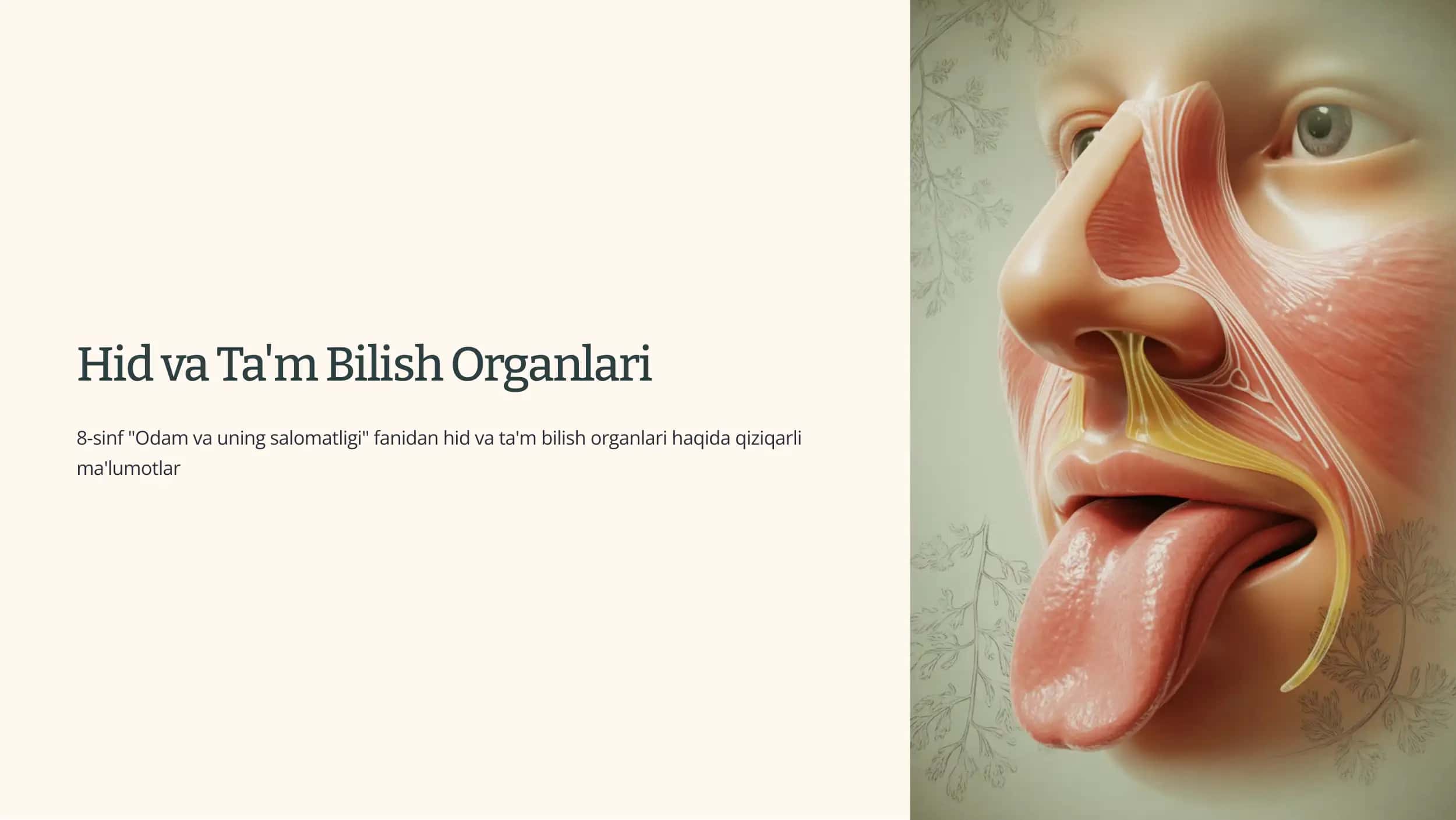 Hid va Ta'm Bilish Organlari 1