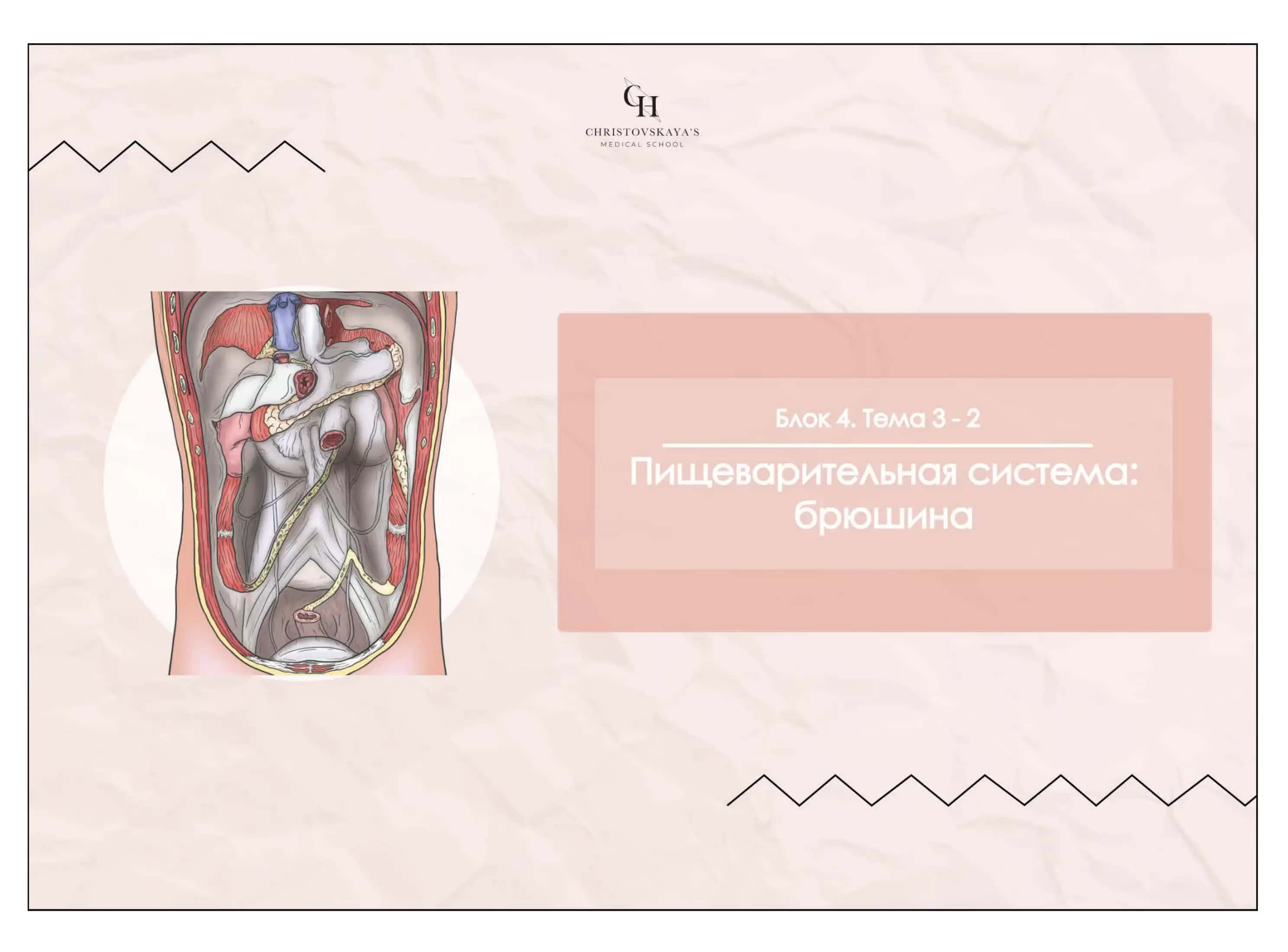 Cavitas abdominalis et peritoneum 1