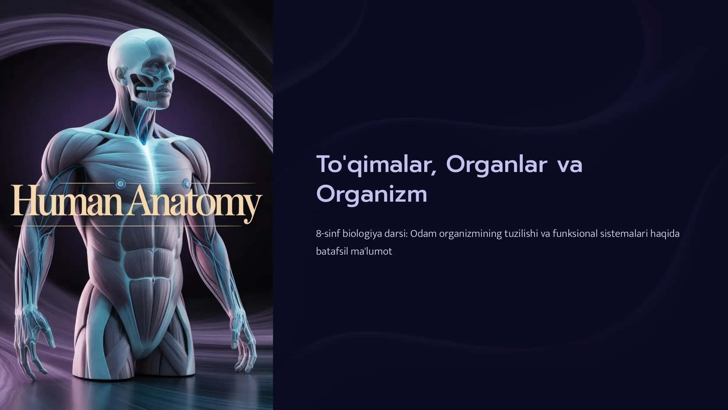 To'qimalar, Organlar va Organizm 1