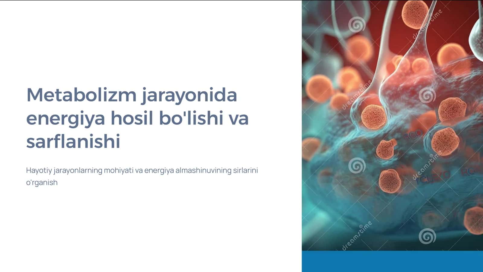 Metabolizm jarayonida energiya hosil bo'lishi va sarflanishi 1