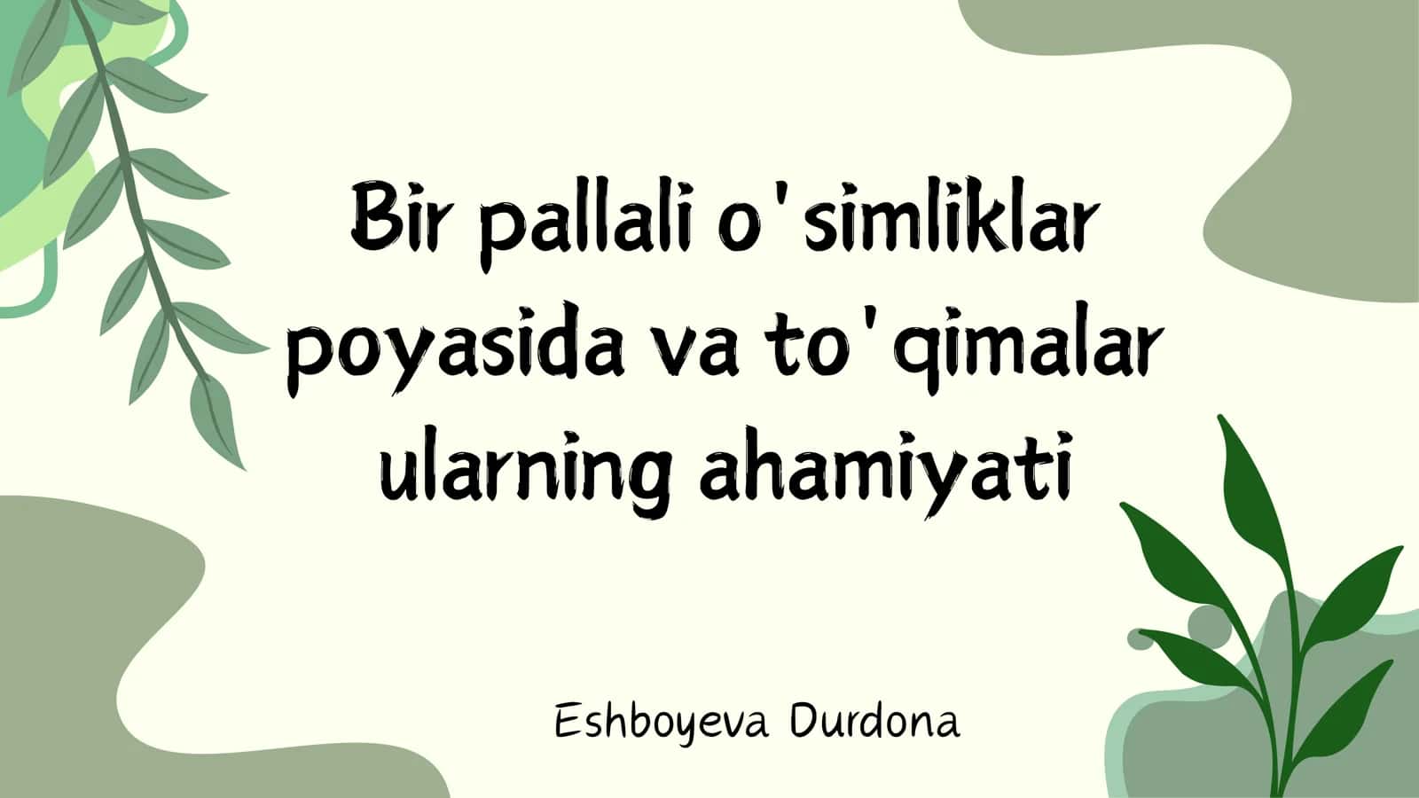 Bir pallali o'simliklar 1