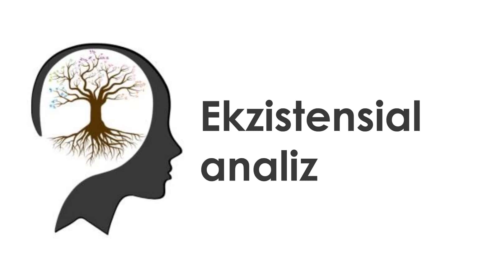 Ekzistensial analiz 1