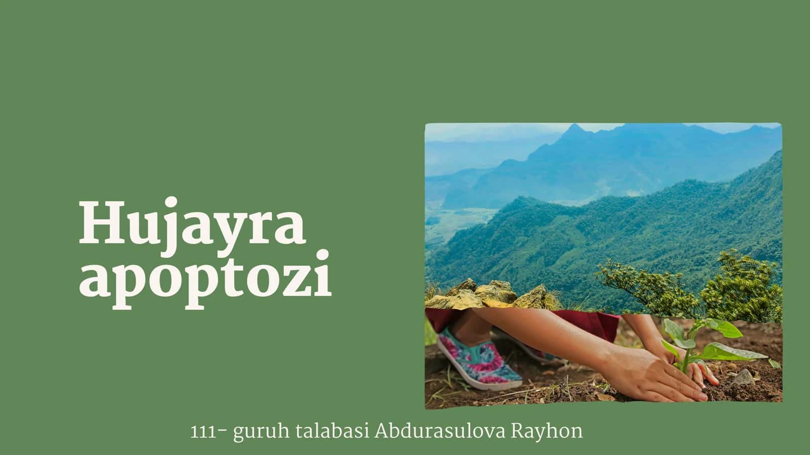 Hujayra apoptozi 1
