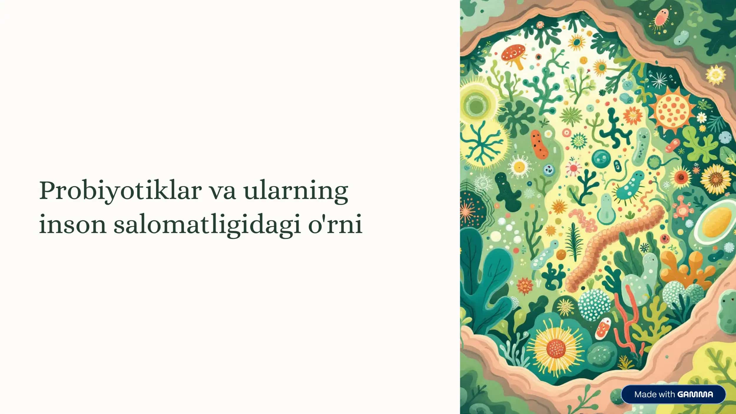 Probiyotiklar va ularning inson salomatligidagi o'rni 1
