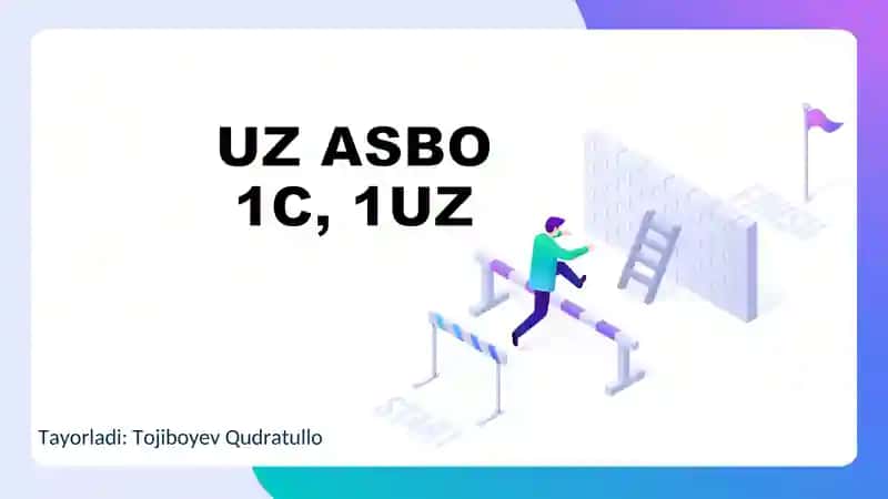 Buxgalteriya hisobini axborot elektron dasturlardan foydalanib yuritish bo’yicha jaxon tajribasi