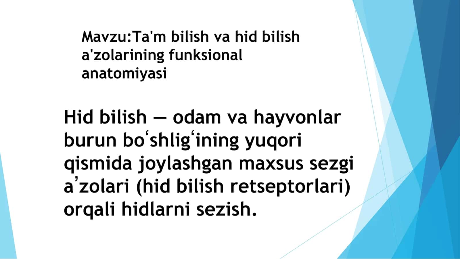 Ta'm bilish va hid bilish anatomiyasi 1