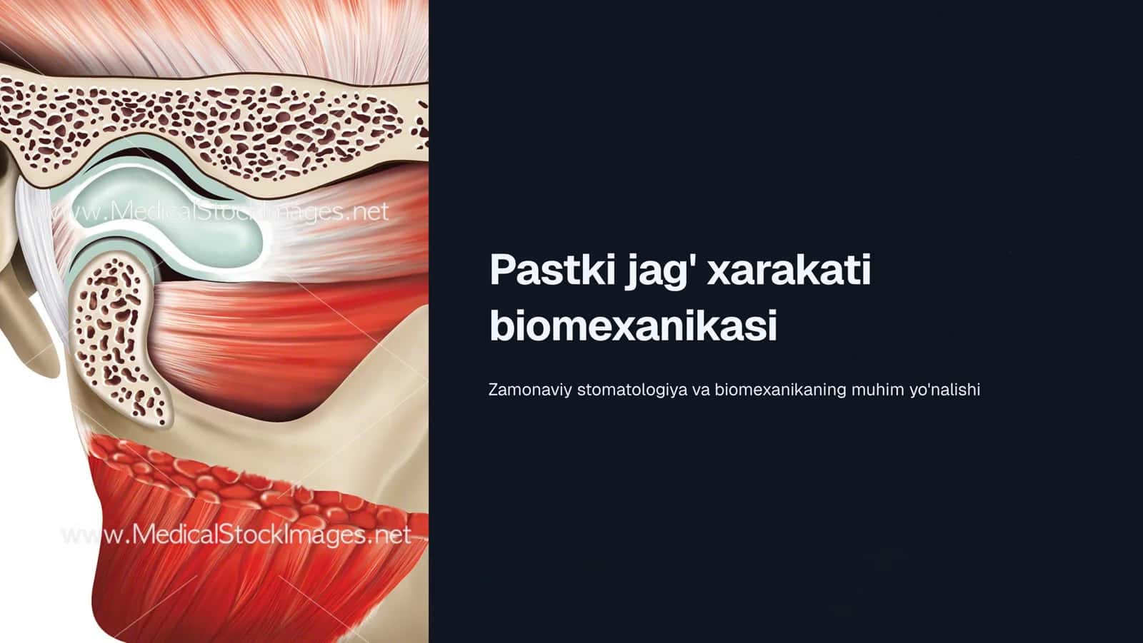 Pastki jag‘ xarakati biomexanikasi 1