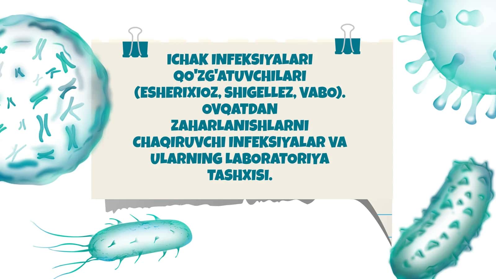 ICHAK INFEKSIYALARI QO'ZG'ATUVCHILARI (ESHERIXIOZ, SHIGELLEZ, VABO). OVQATDAN ZAHARLANISHLARNI CHAQIRUVCHI INFEKSIYALAR VA ULARNING LABORATORIYA TASHXISI 1