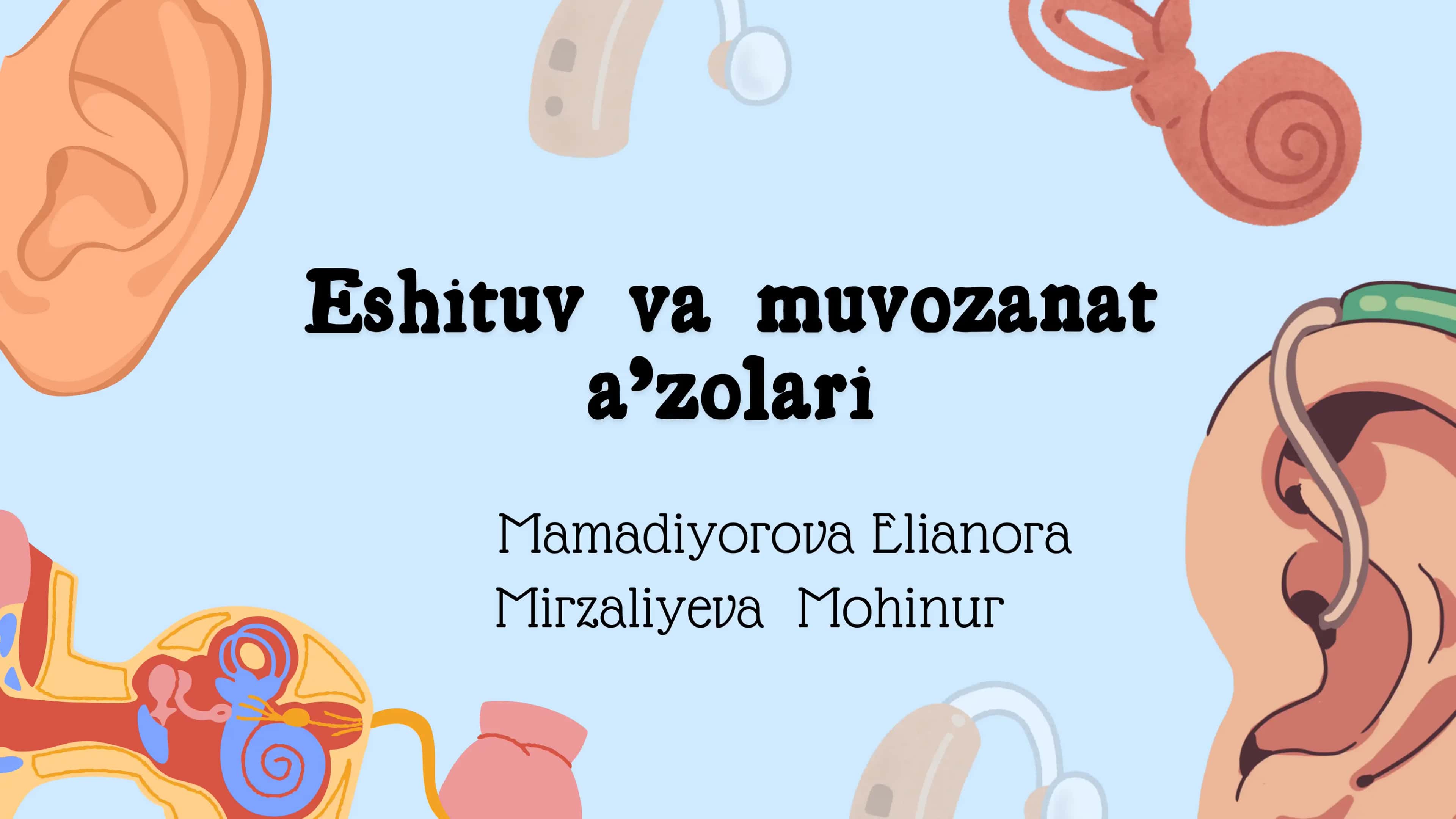 Eshituv va muvozanat aʼzolari 1