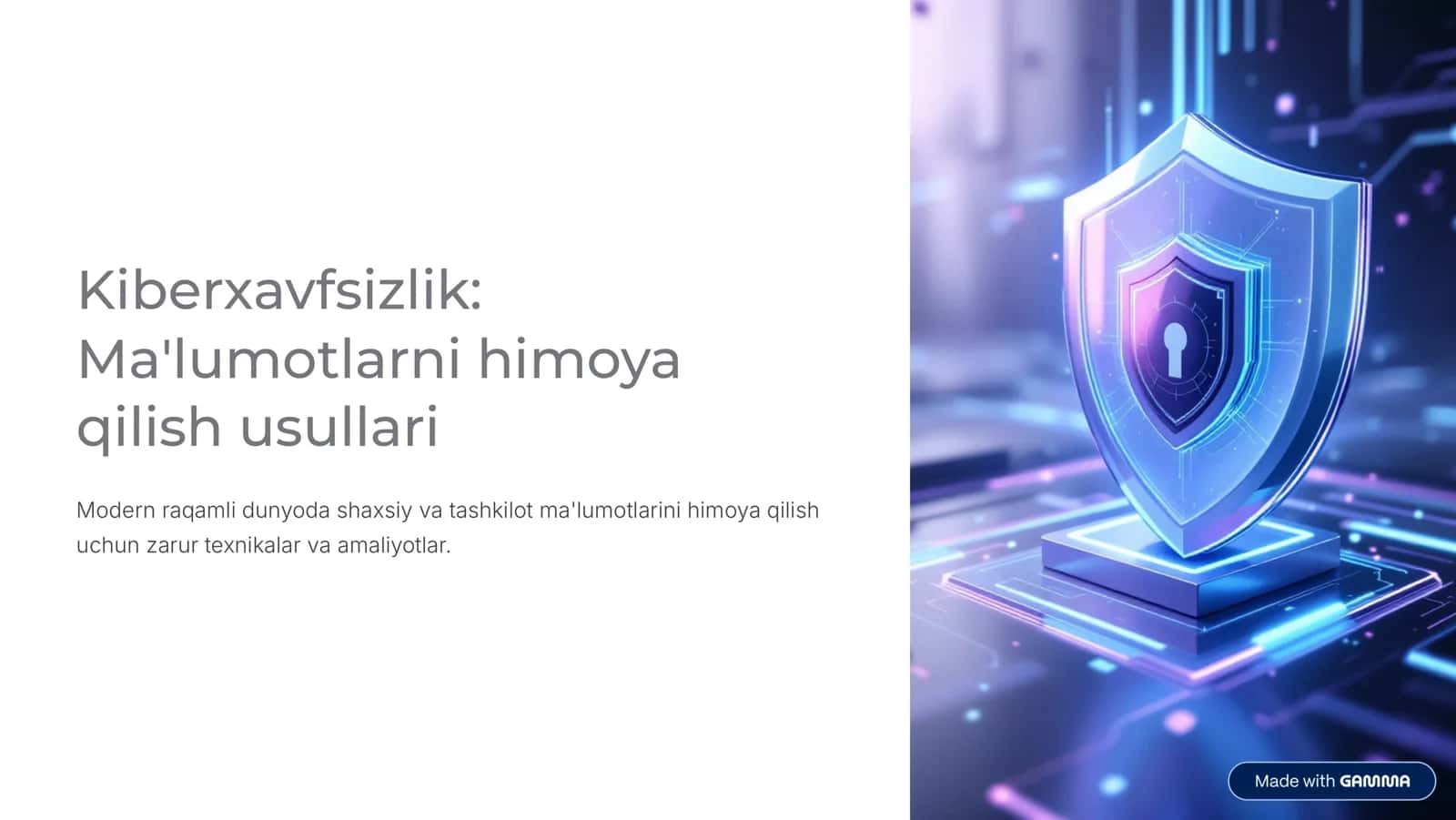 Kiberxavfsizlik: Ma’lumotlarni himoya qilish usullari. 1