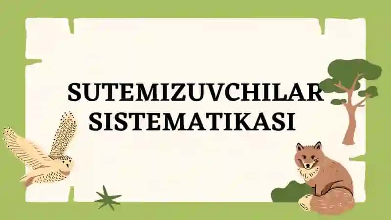 Sutemizuvchilar sistematikasi 1