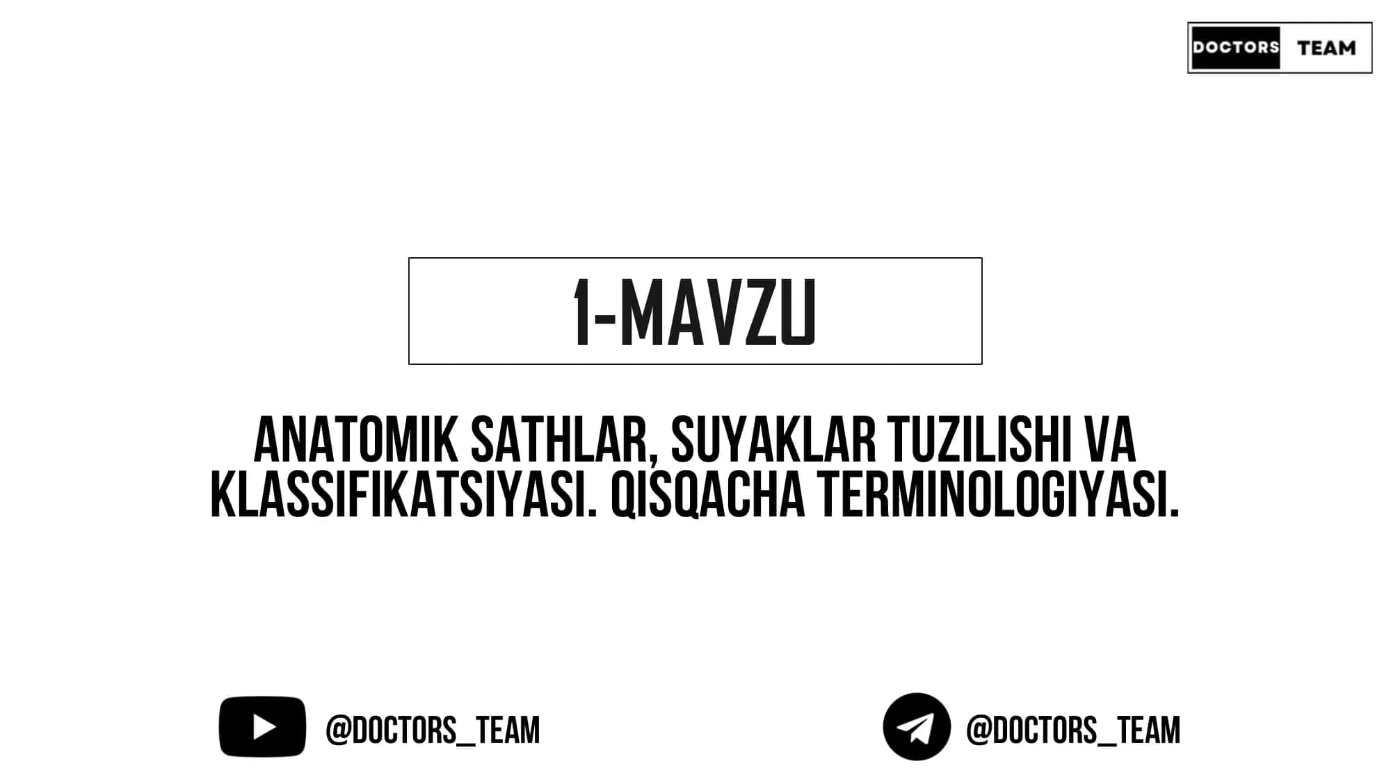 Anatomiyada 3 ta sath mavjud 1
