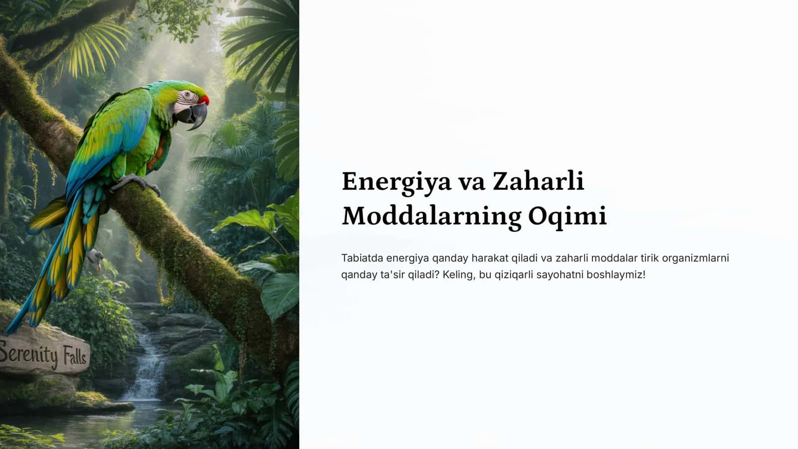 Energiya va Zaharli 1
