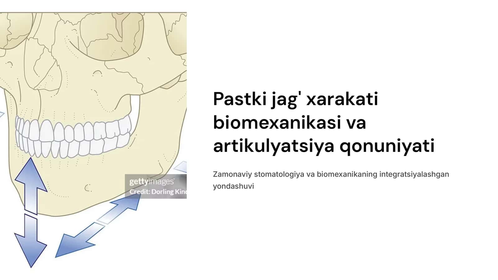 Pastki jag‘ xarakati biomexanikasi.tranzverzal kesuv yo‘li burchagi.Artikulyatsiya qonuniyati.Gizi bo‘yicha chaynov xarakati fazalari, fiziologik tinchlik xolati. 1