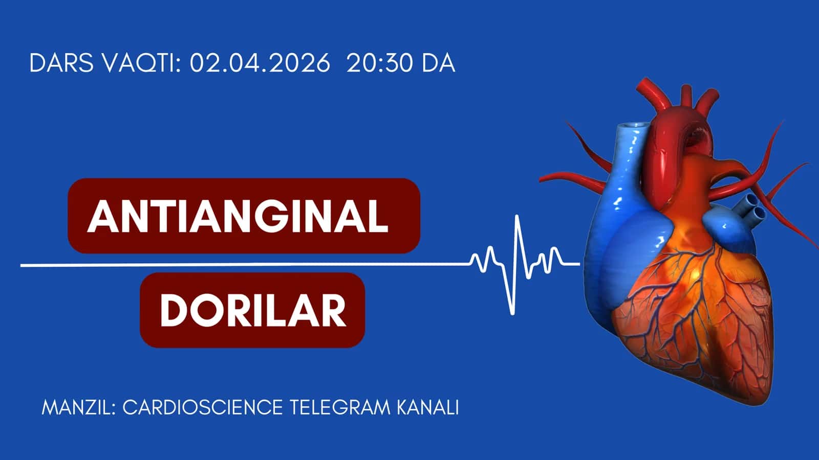 Antianginal dorilar 1