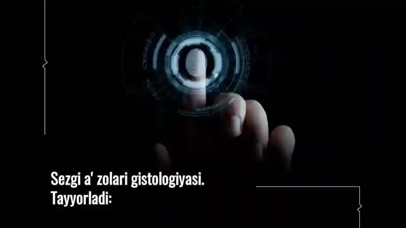 Sezgi a'zolari gistologiyasi