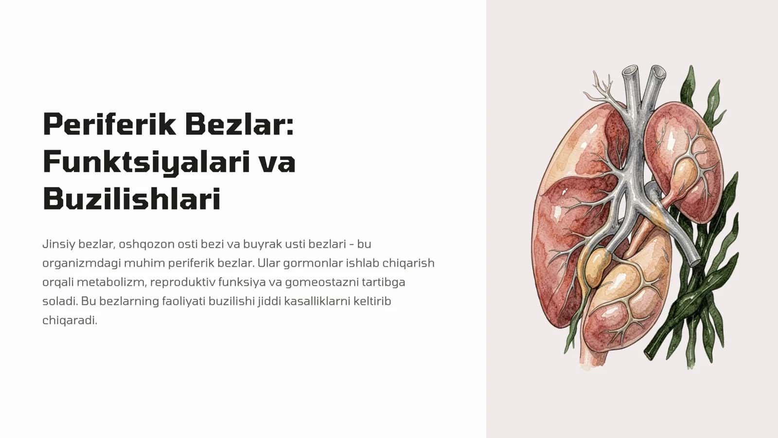 Periferik Bezlar: Funktsiyalari va Buzilishlari 1