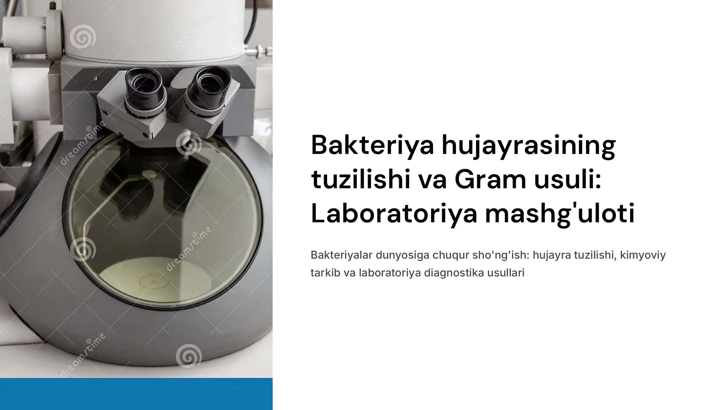 Bakteriya hujayrasining tuzilishi: doimiy bo‘lgan bakterial hujayra tuzilmalari. Kimyoviy tarkibi va ularning funksional ahamiyati. Grammusbat va grammanfiy bakteriyalarning tuzilishi va ularning farqlari (Laboratoriya mashg‘ulotlari). 1
