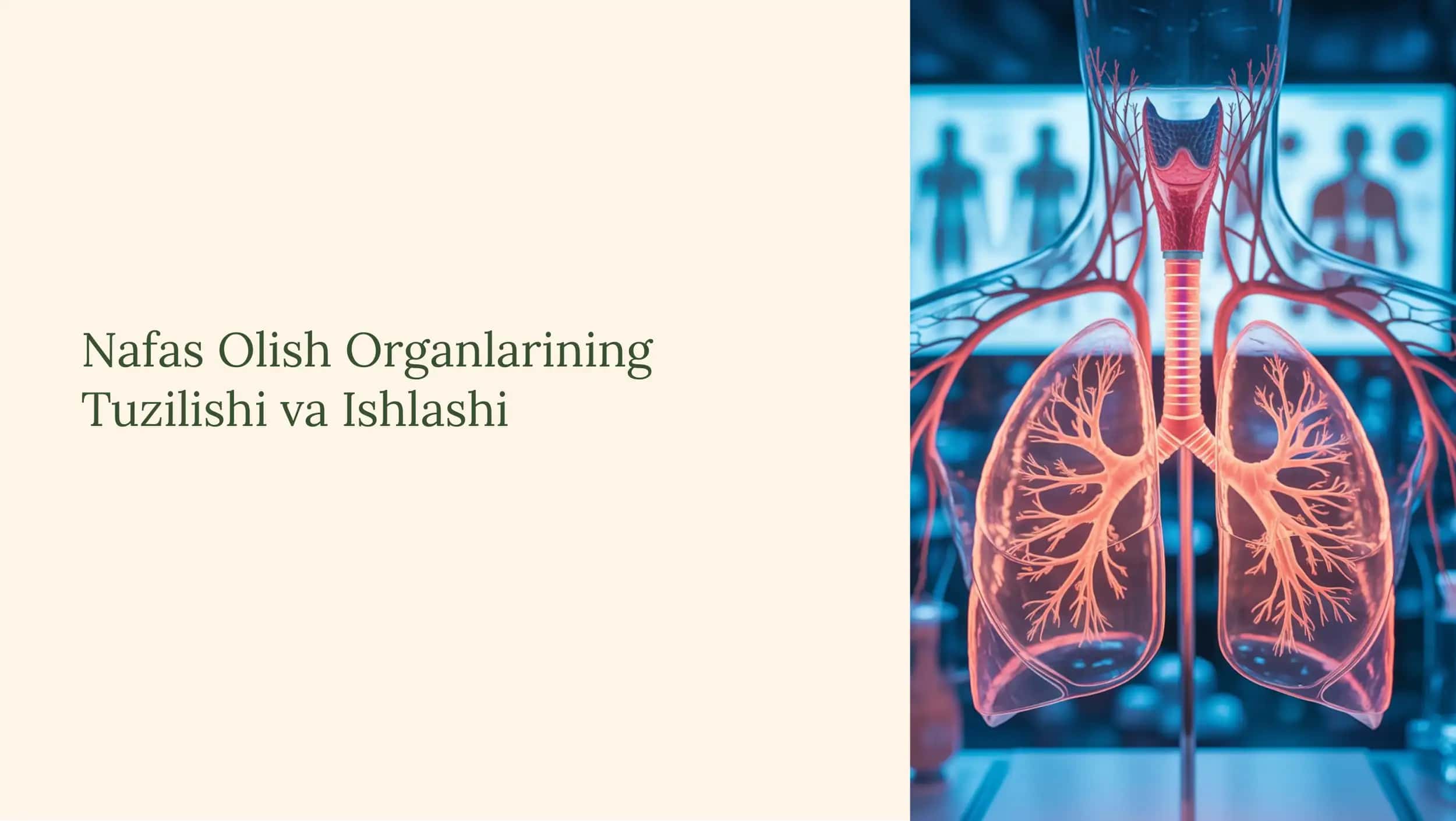 Nafas Olish Organlarining Tuzilishi va Ishlashi 1