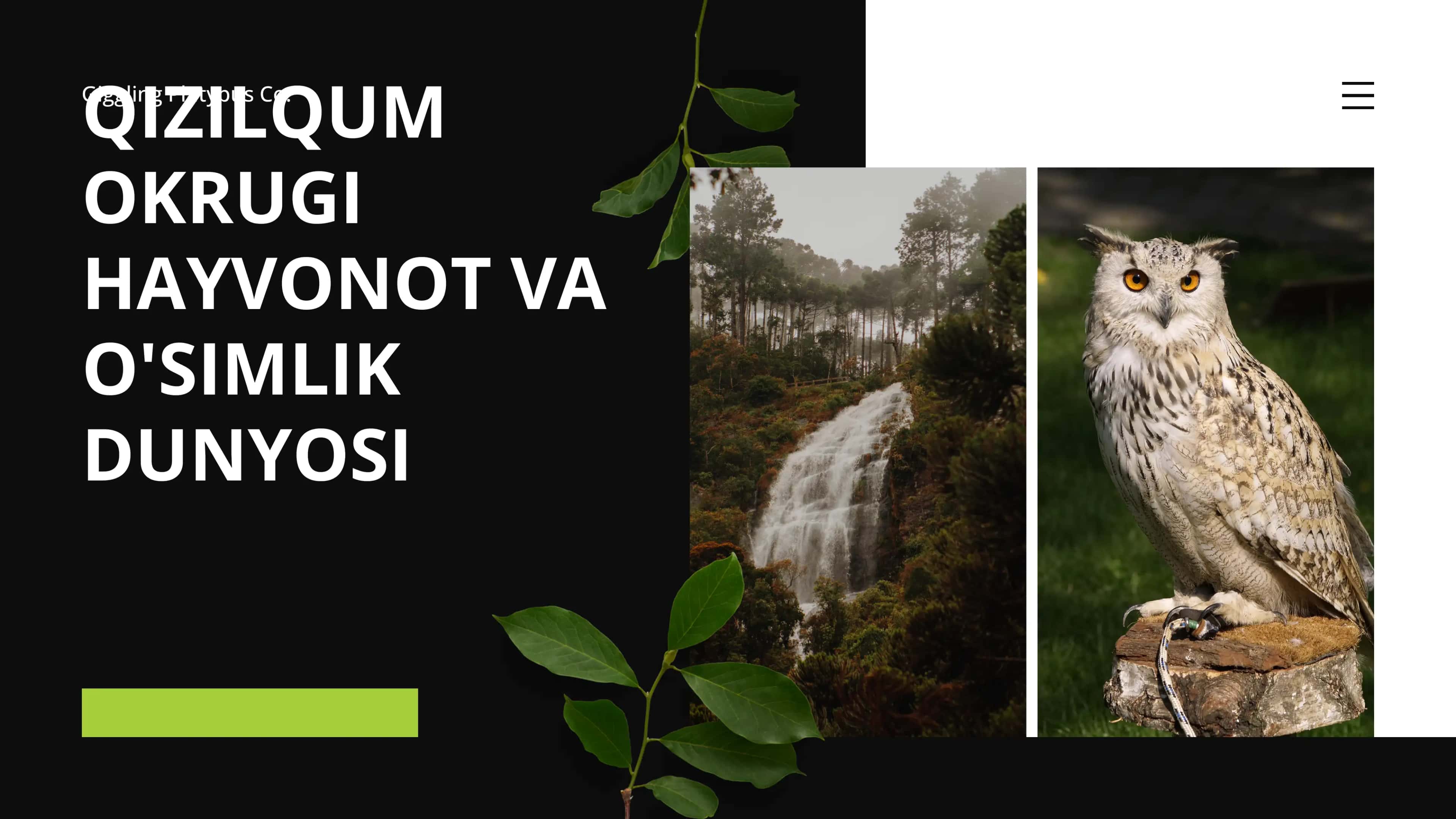 Qizilqum okrugi hayvonot va o'simlik dunyosi 1