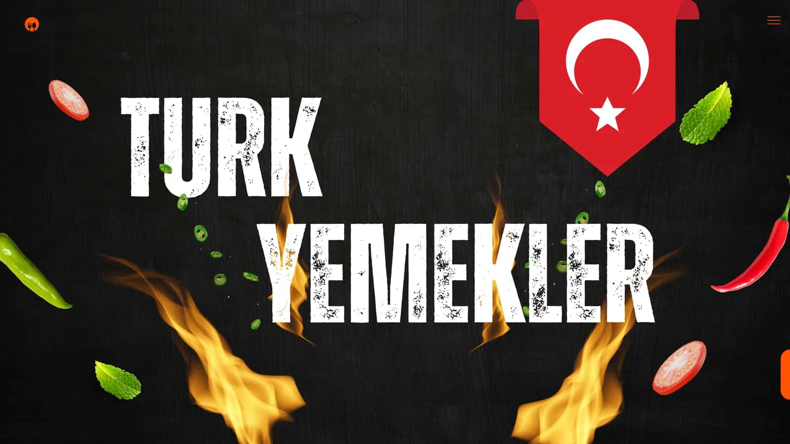TURK TAOMLARI 1