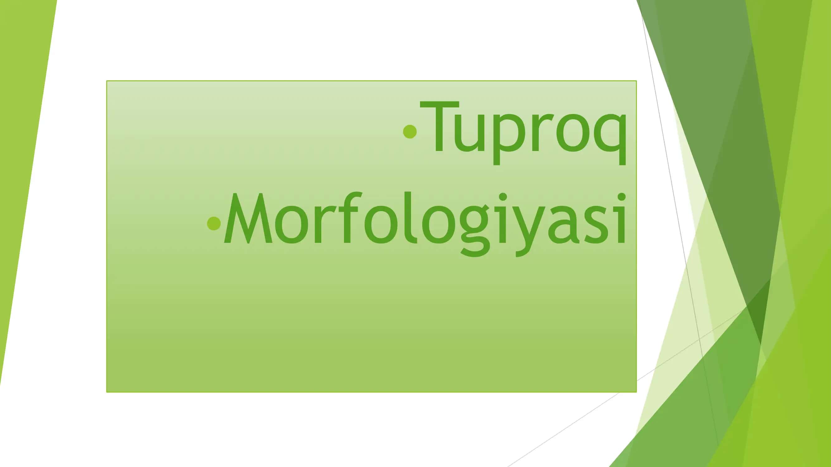 TUPROQ MORFOLOGIYASI 1