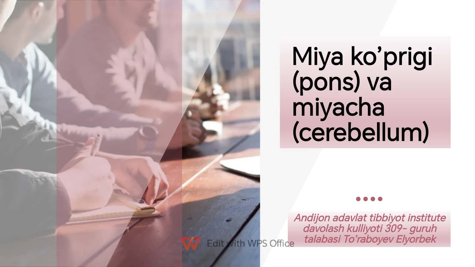miyacha va miya koprigi anatomiyasi 1