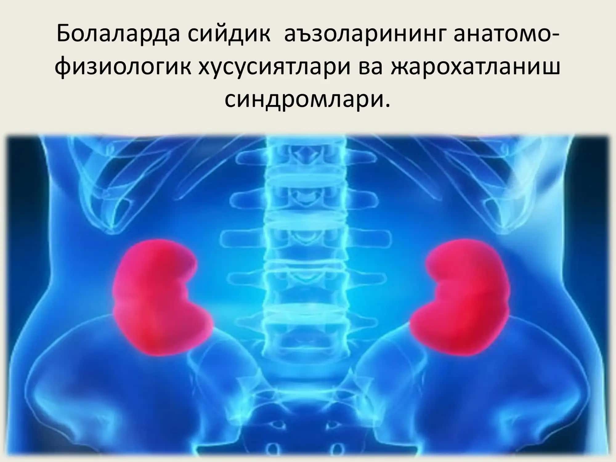 Сийдик аъзоларининг анатомо-физиологик хусусиятлари ва жарохатланиш синдромлари 1