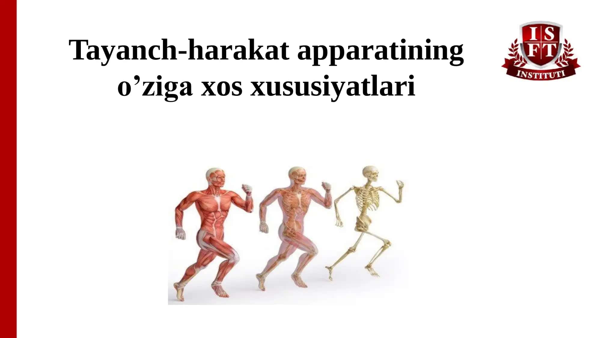 Tayanch-harakat apparati 1