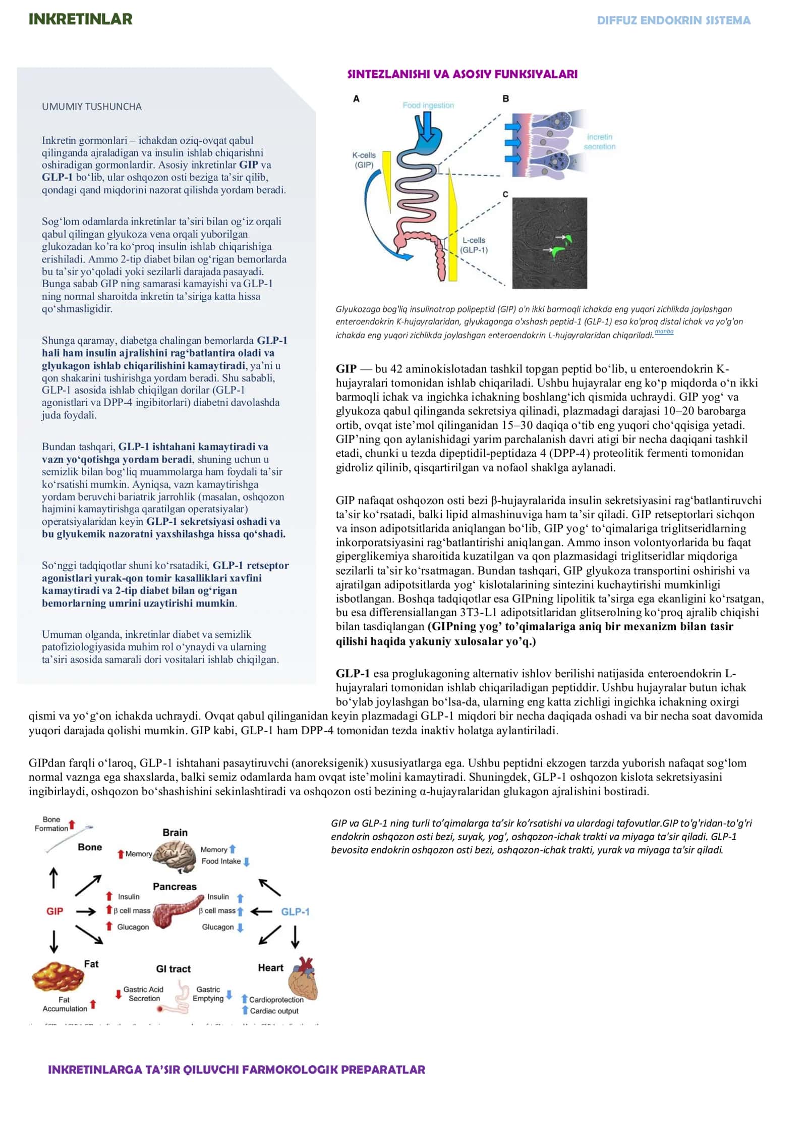INKRETINLAR DIFFUZ ENDOKRIN SISTEMA 1