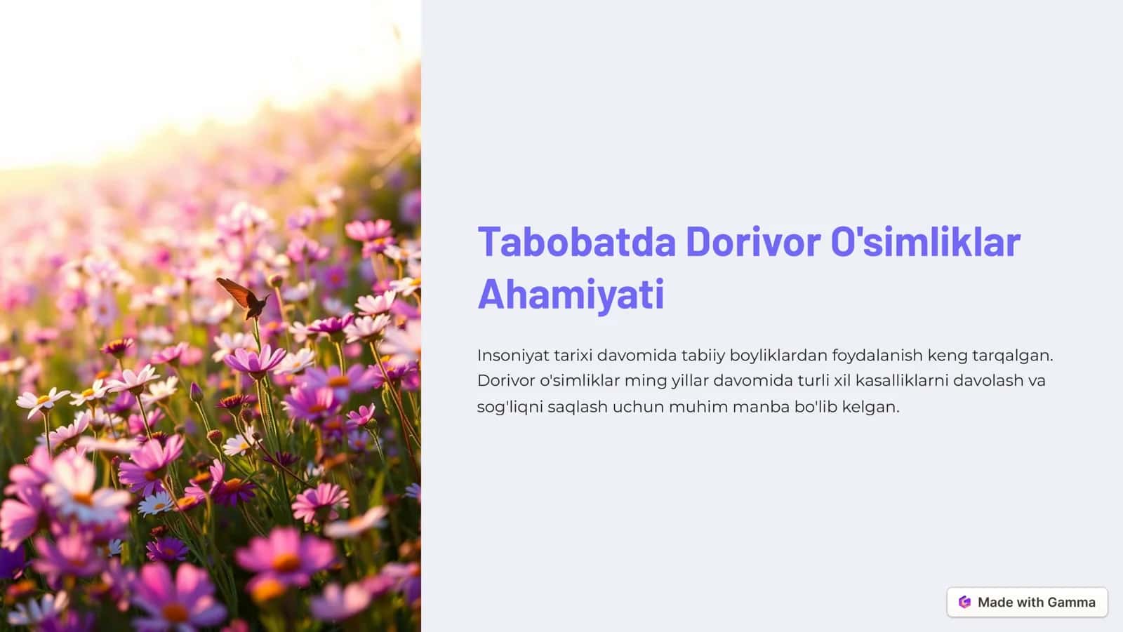 Dorivor O'simliklar 1