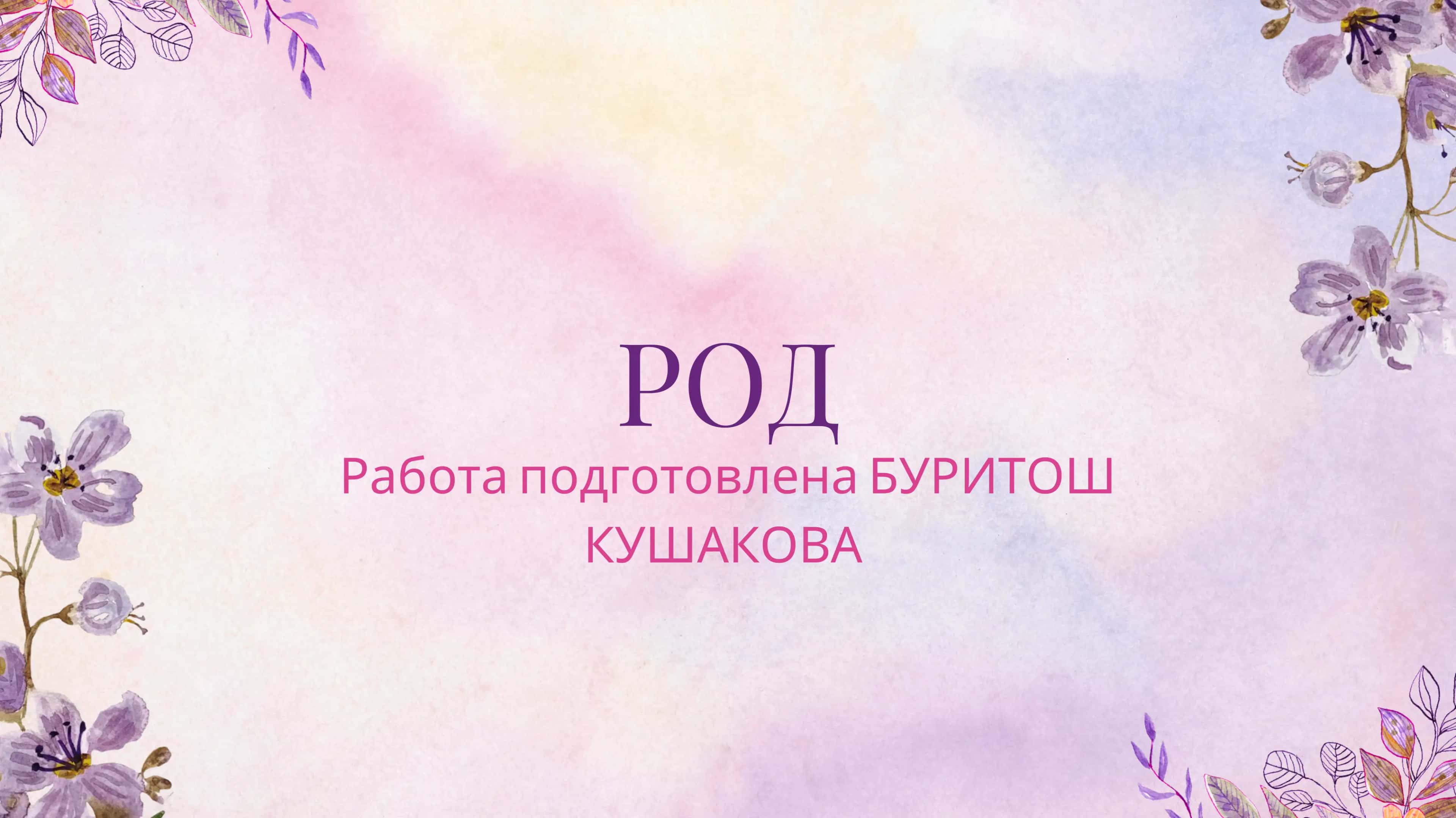 Род имён существительных 1