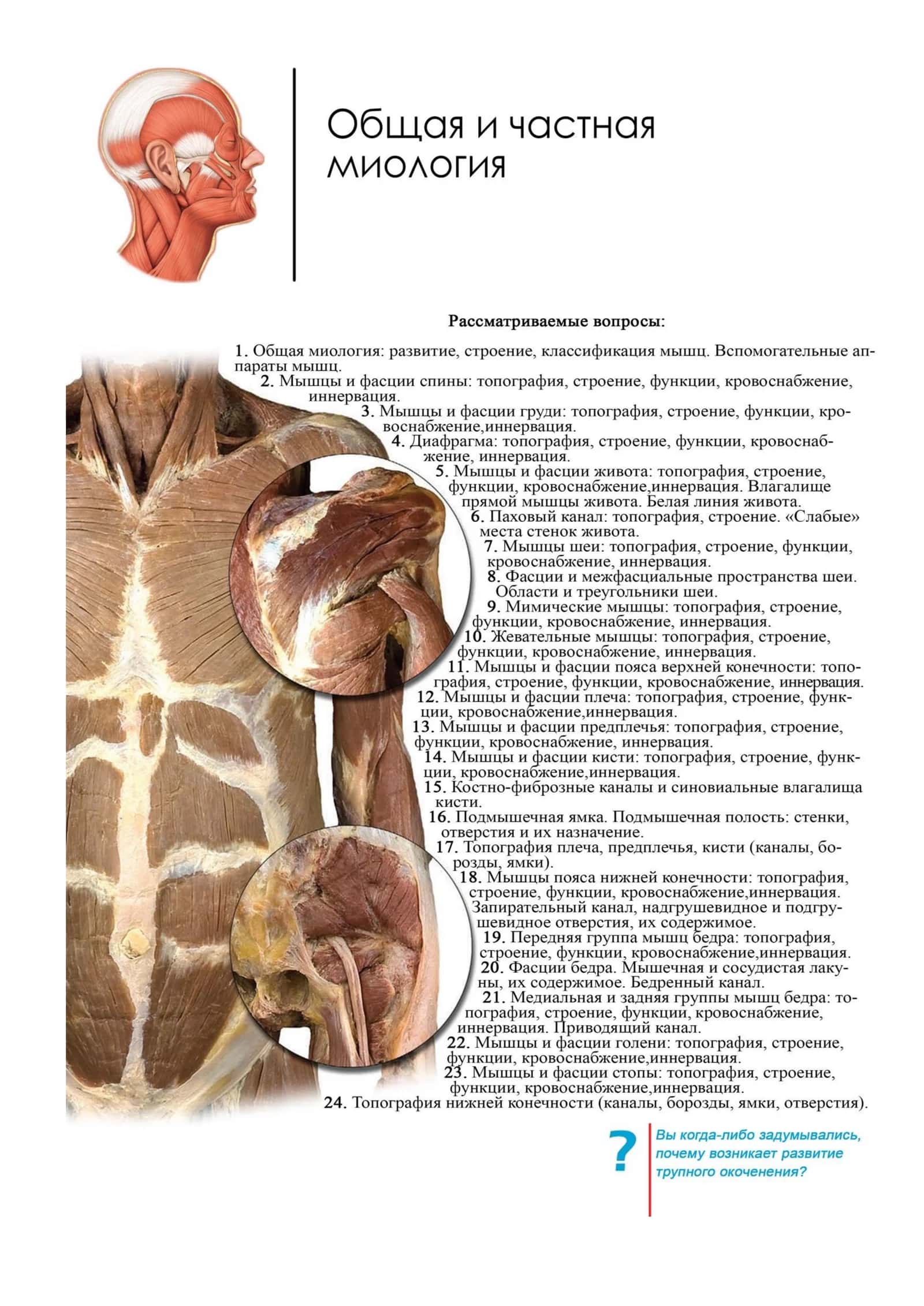 Миология 1