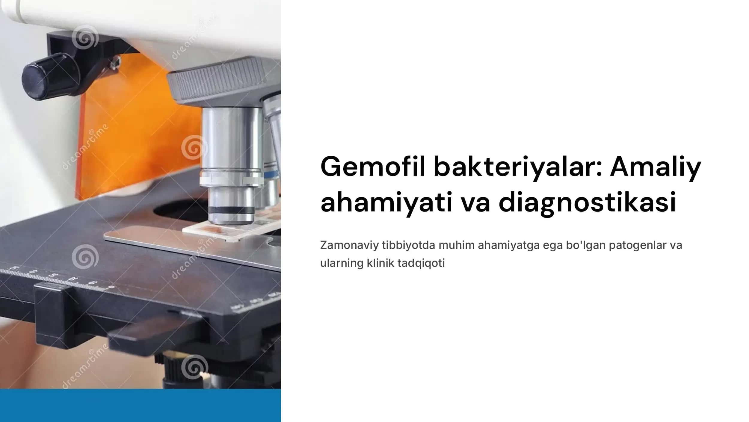 Gemofil bakteriyalarni (inflyuensa tayoqchasi, yumshoq shankr qo'zg'atuvchisi) amaliyotdagi ahamiyati, diagnostikasi. 1